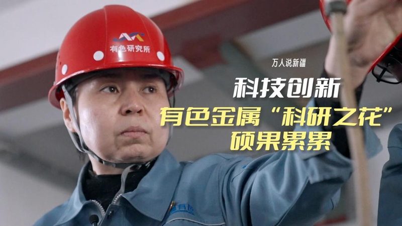 软件测试报告模板：成都企业如何高效规范地评估软件质量